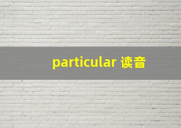 particular 读音